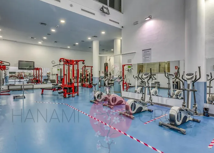 Hanami Bahia De La Plata Penthouse Bdlp10a2a *